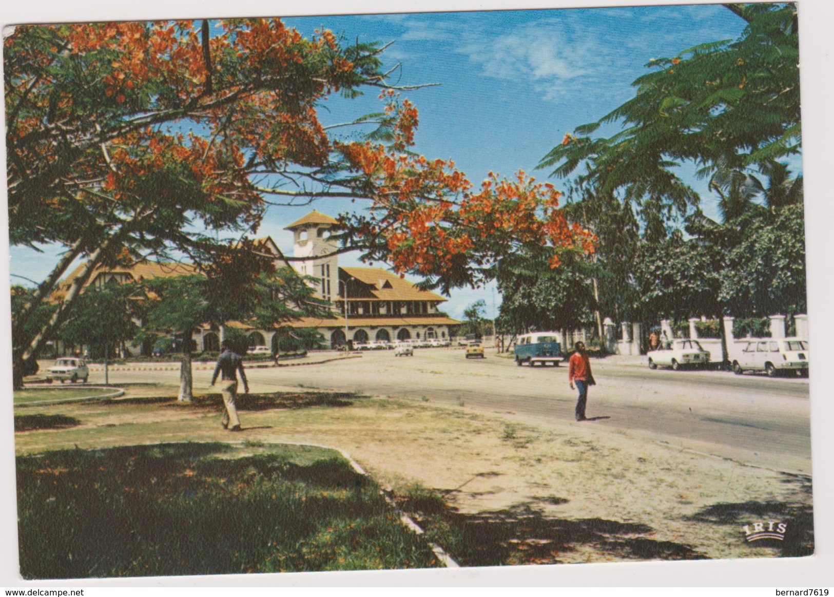 Congo  Ponte Noire  Place De La Gare Flamboyant En Fleurs - Pointe-Noire