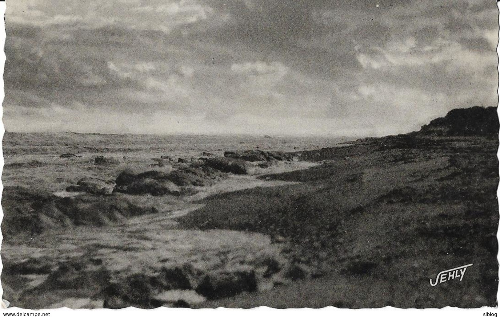 CPSM - BRETIGNOLLES SUR MER - Un Jour De Tempête - La Côte Au Marais-Girard - Bretignolles Sur Mer