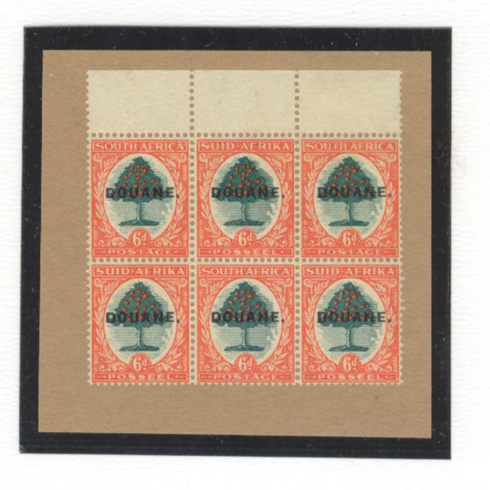 SOUTH AFRICA: HYPHENATED PICTORIALS :DOUANE BLOCK OF 6 As Shown On PIECE MINT - Andere & Zonder Classificatie