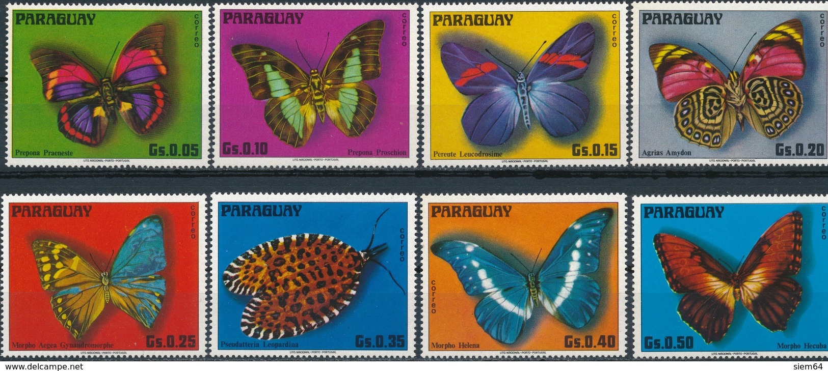 Paraguay  Butterflies - Vlinders