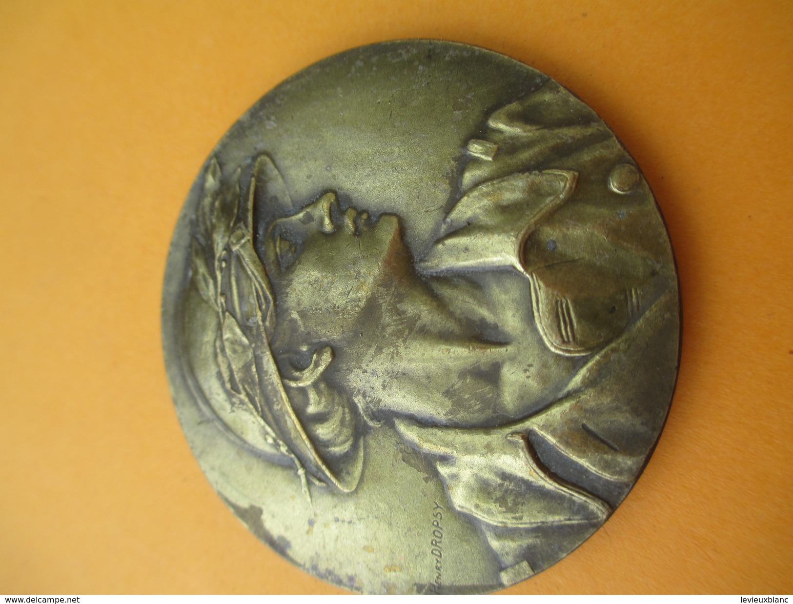 Médaille  De Table / Bronze/Pompier Féminin/ "offert Par L'Echo De Paris" / /Vers 1920-1930        MED132 - Autres & Non Classés