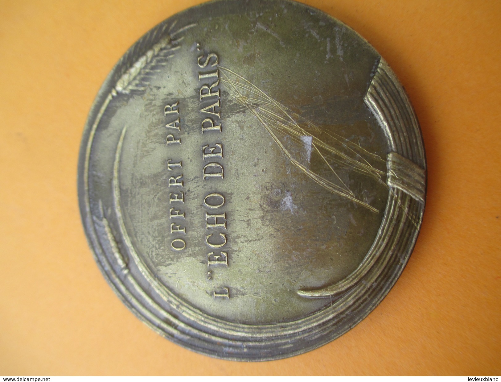 Médaille  De Table / Bronze/Pompier Féminin/ "offert Par L'Echo De Paris" / /Vers 1920-1930        MED132 - Other & Unclassified