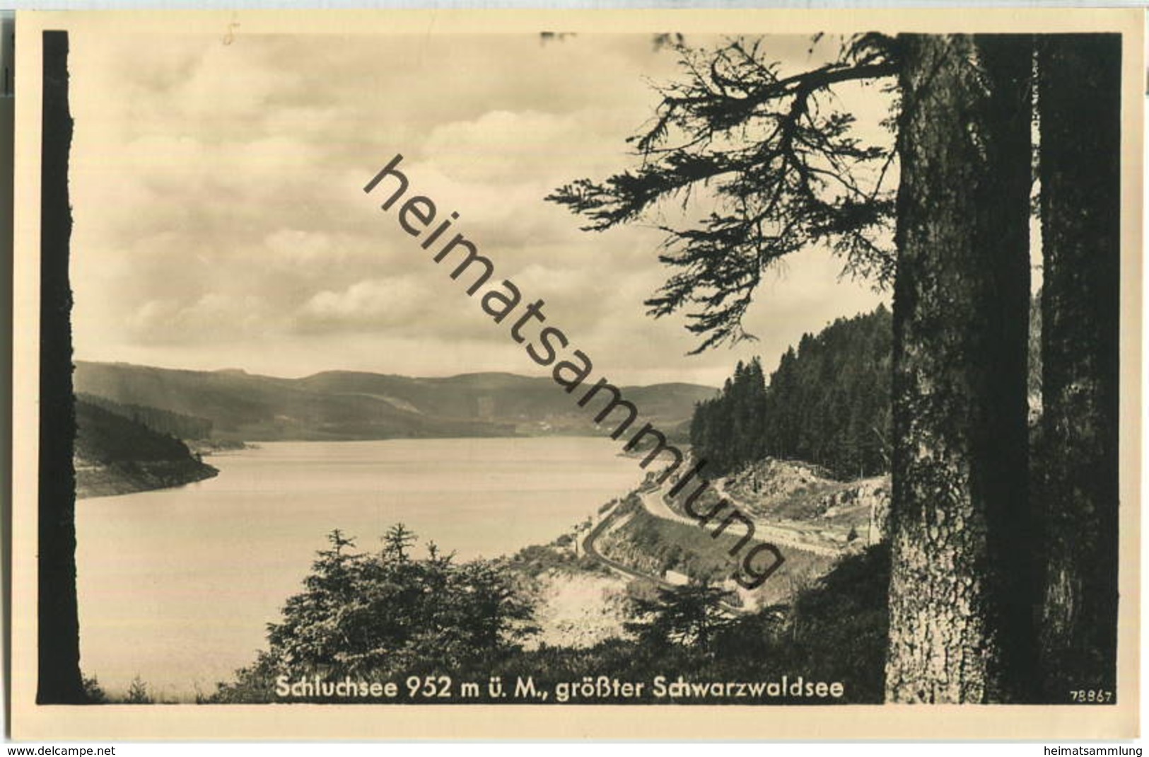 Schluchsee - Foto-Ansichtskarte - Schluchsee