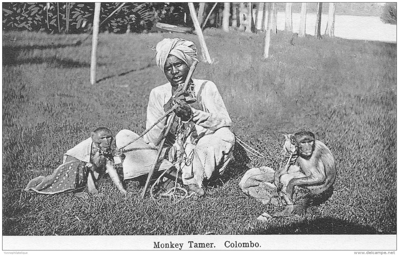 COLOMBO / Monkey Tamer - Sri Lanka (Ceylon)