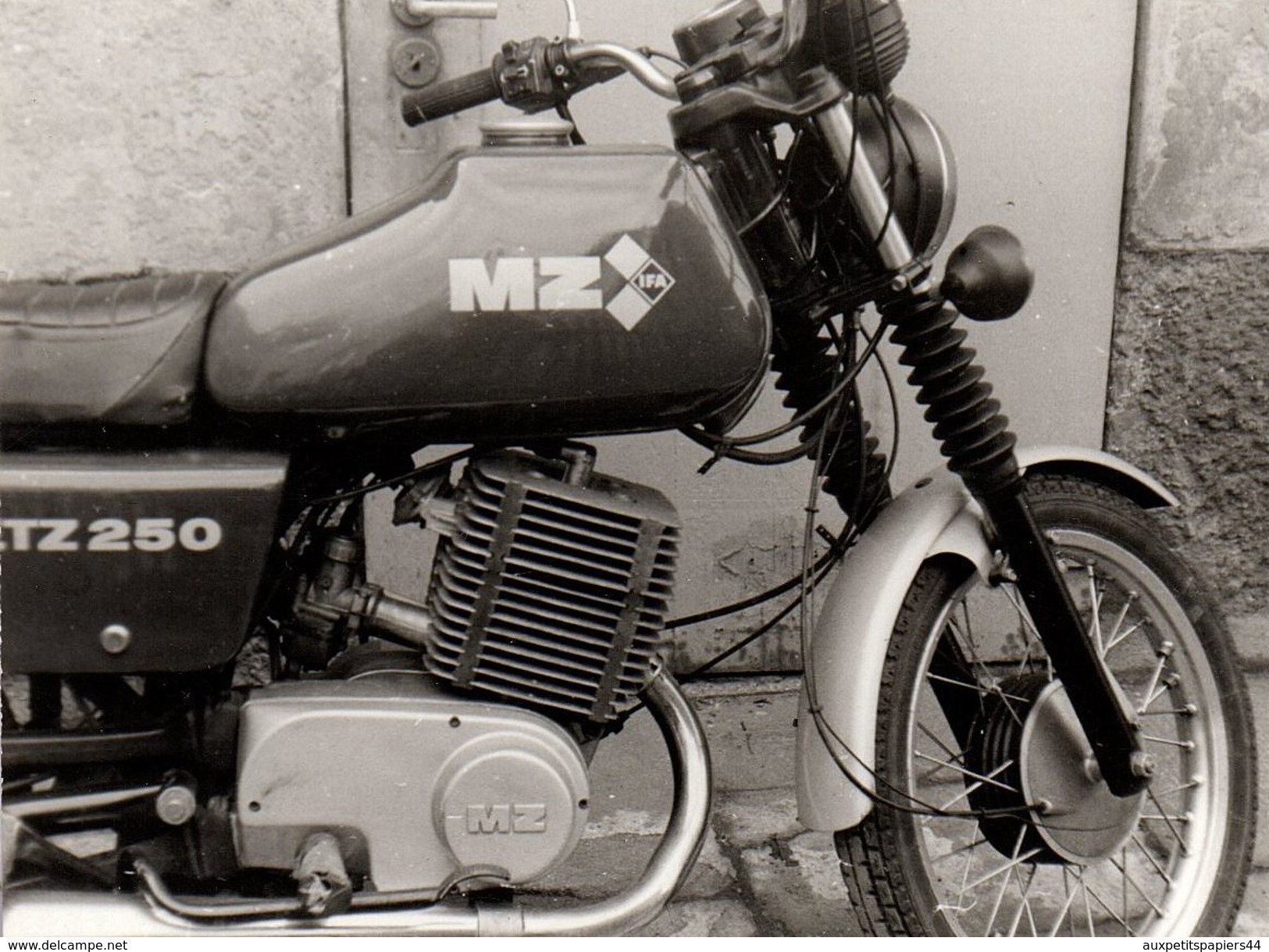 3 Photos Originales Motocyclisme Et Motocyclette, Moto MZ Ex RDA - MZ ETZ 250 - Immatriculation XG 90 - 43 - Cyclisme