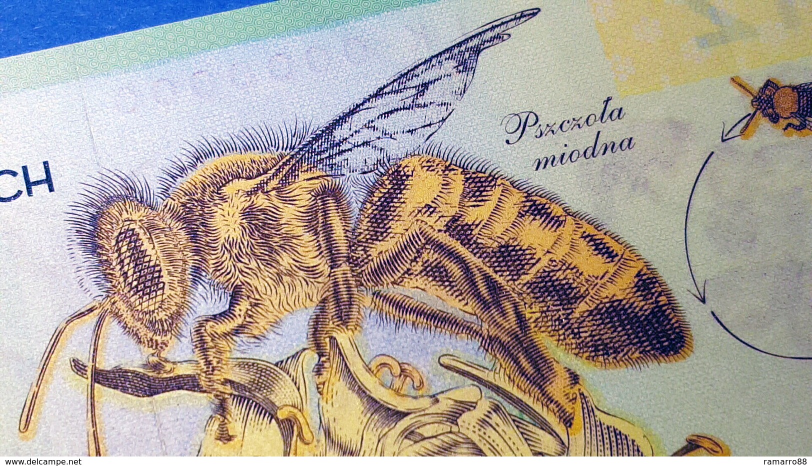 Poland - PWPW 012 Honey Bee Polymer Specimen Test Note 2012 Fds / Unc