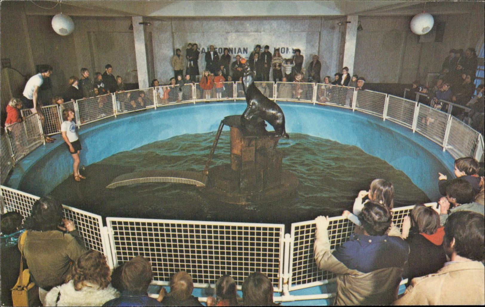 Brighton Aquarium Sussex England The Sea Lion Pool - Autres & Non Classés