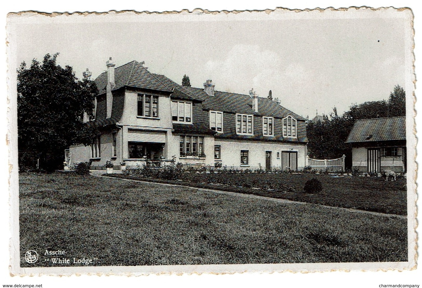 Assche, White Lodge, Circulée En 1945 - Uitg. Drukkerij Van Geertruyen - 2 Scans - Asse