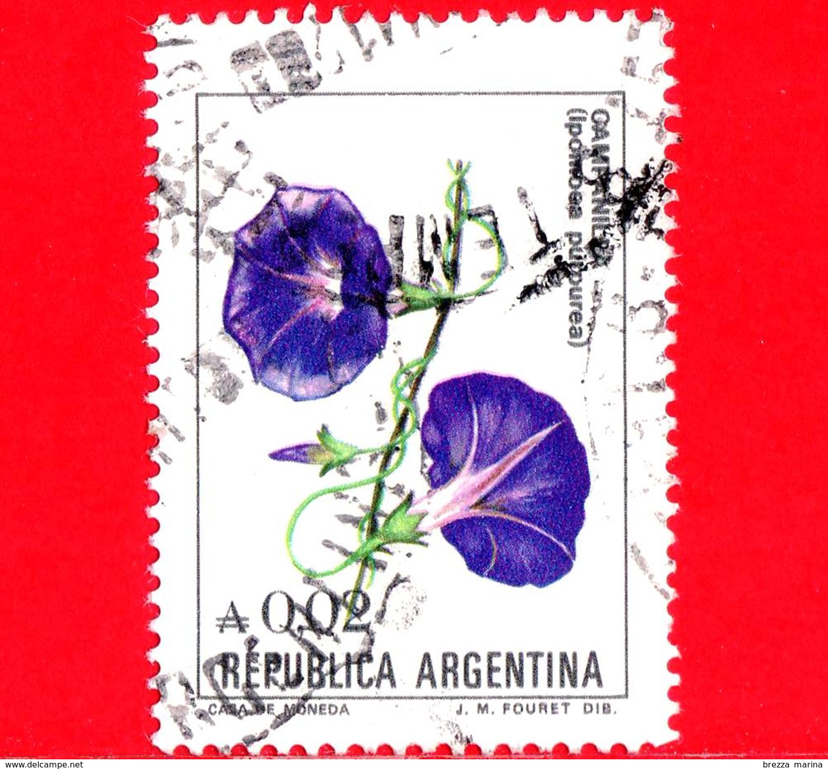 ARGENTINA - Usato -  1985 - Fiori - Flowers - Fleurs - Campanella - Ipomoea Purpurea - 0.02 - Usati