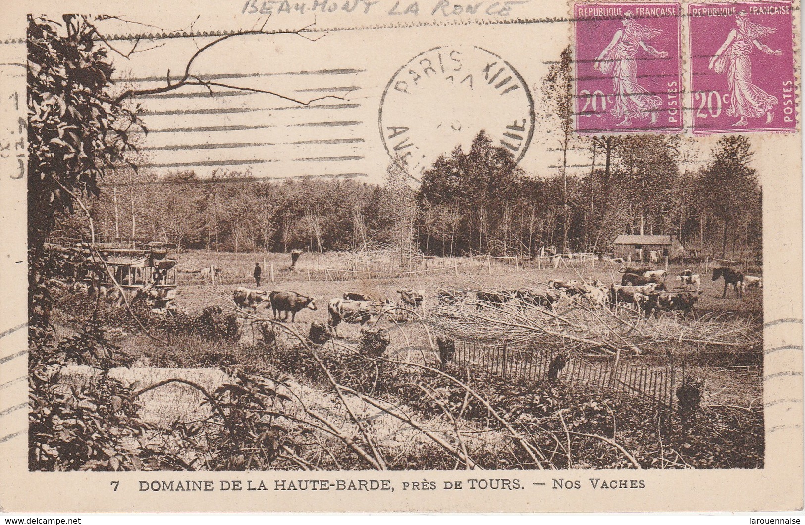 37 - BEAUMONT LA RONCE - Domaine De La Haute Barde - Nos Vaches - Beaumont-la-Ronce
