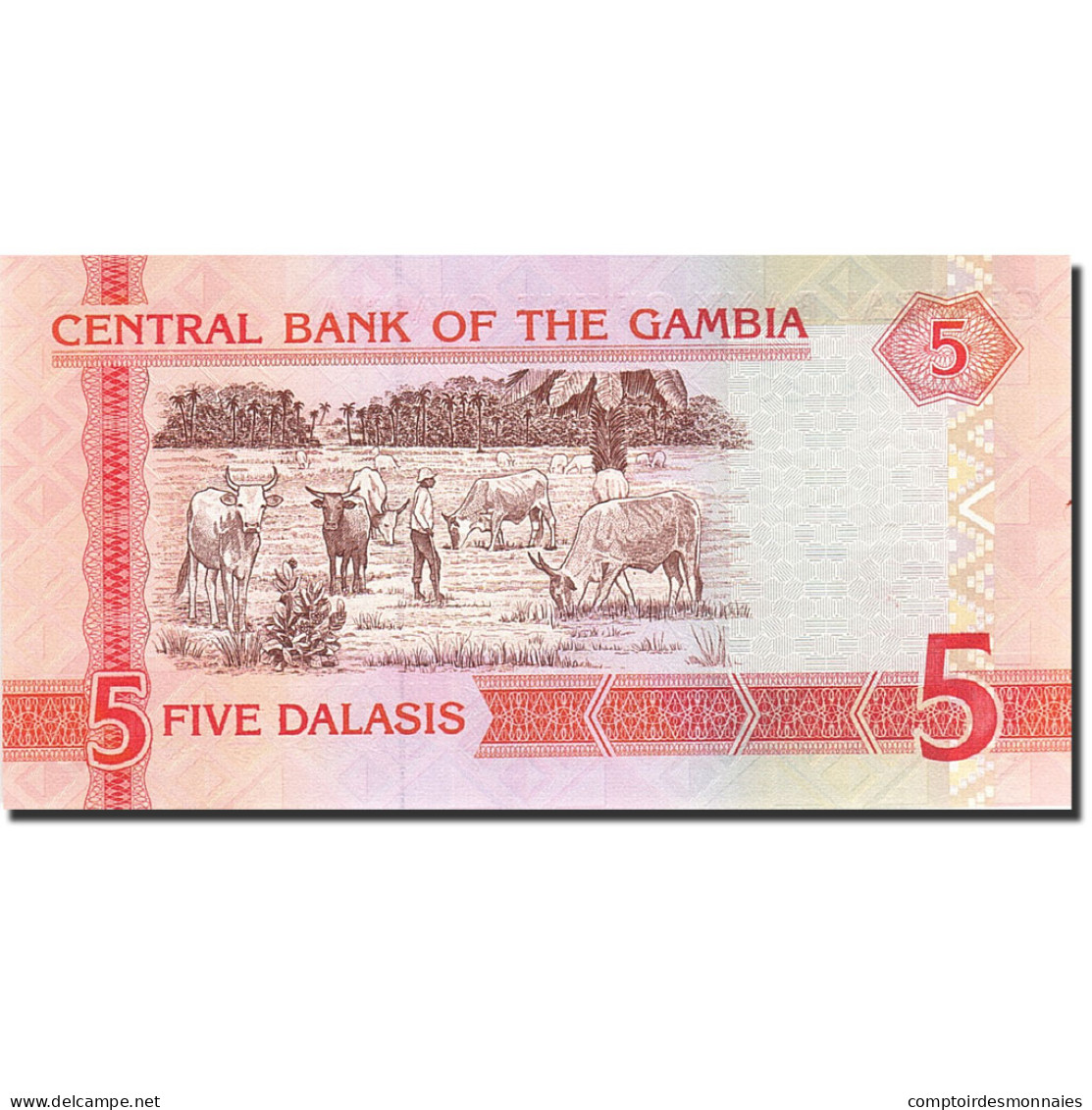 Billet, The Gambia, 5 Dalasis, 2001, Undated (2001), KM:20a, NEUF - Gambia