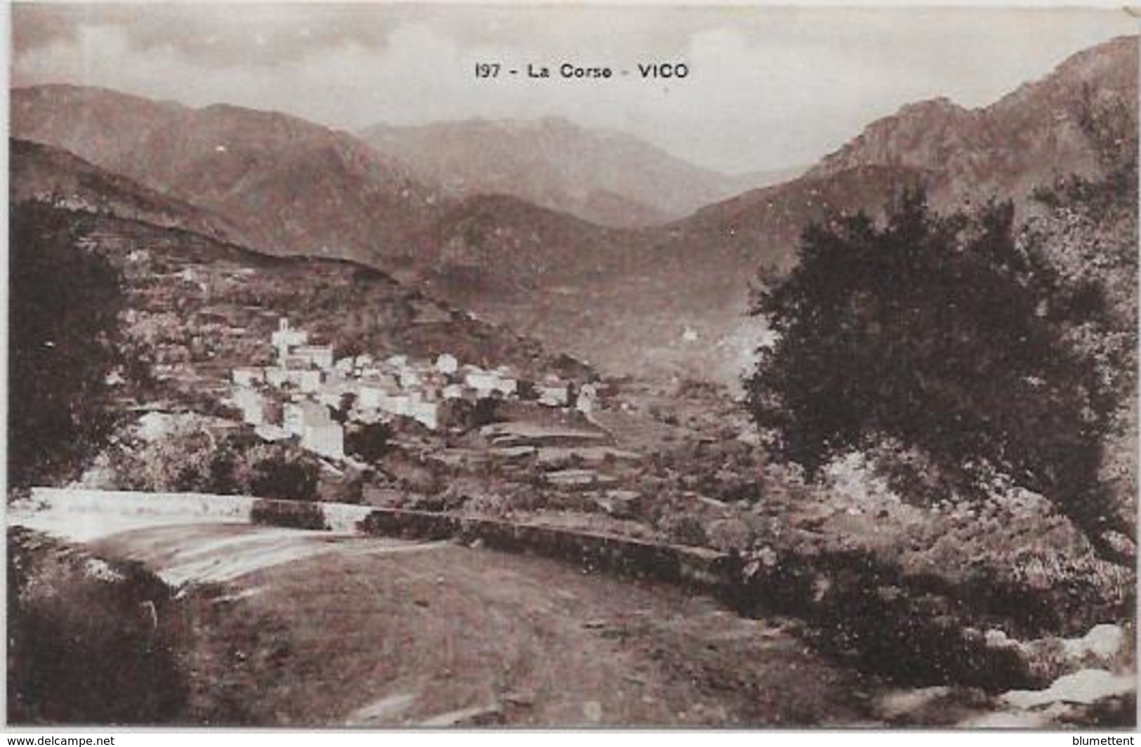 CPA Corse Corsica Non Circulé VICO - Sonstige & Ohne Zuordnung