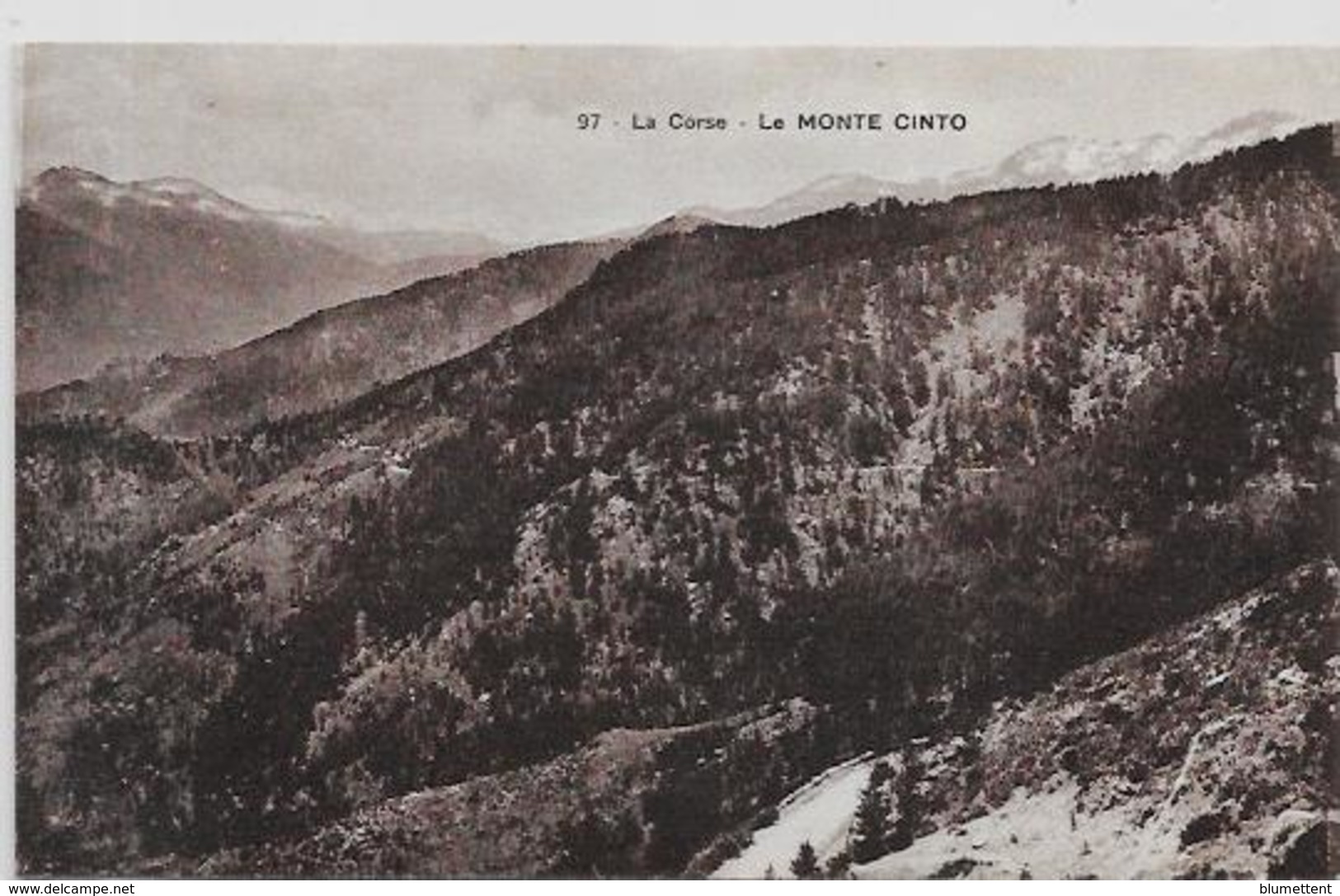 CPA Corse Corsica Non Circulé Le MONTE CINTO - Sonstige & Ohne Zuordnung