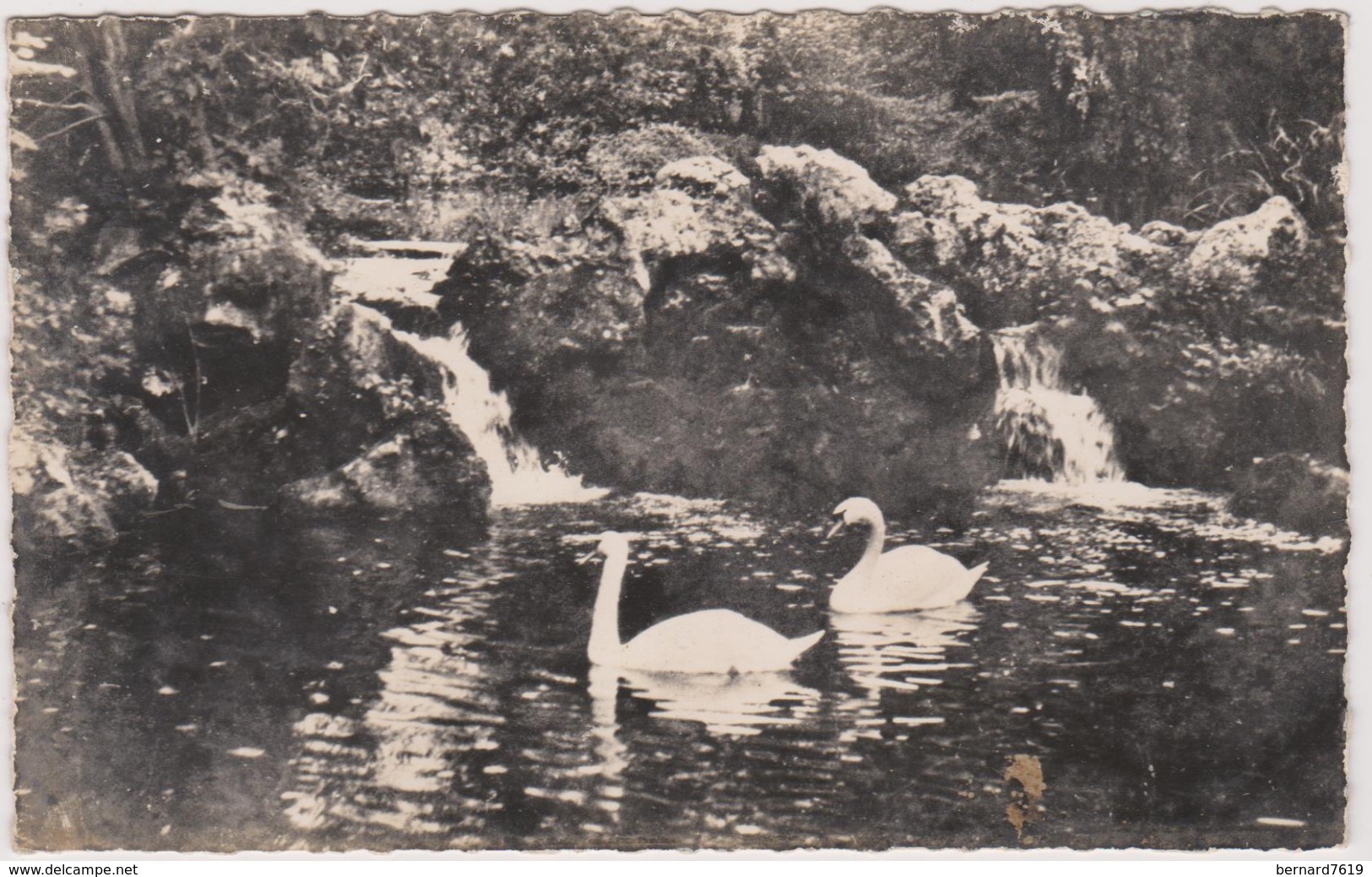 76  Cleres Parc Zoologique Cygnes - Clères