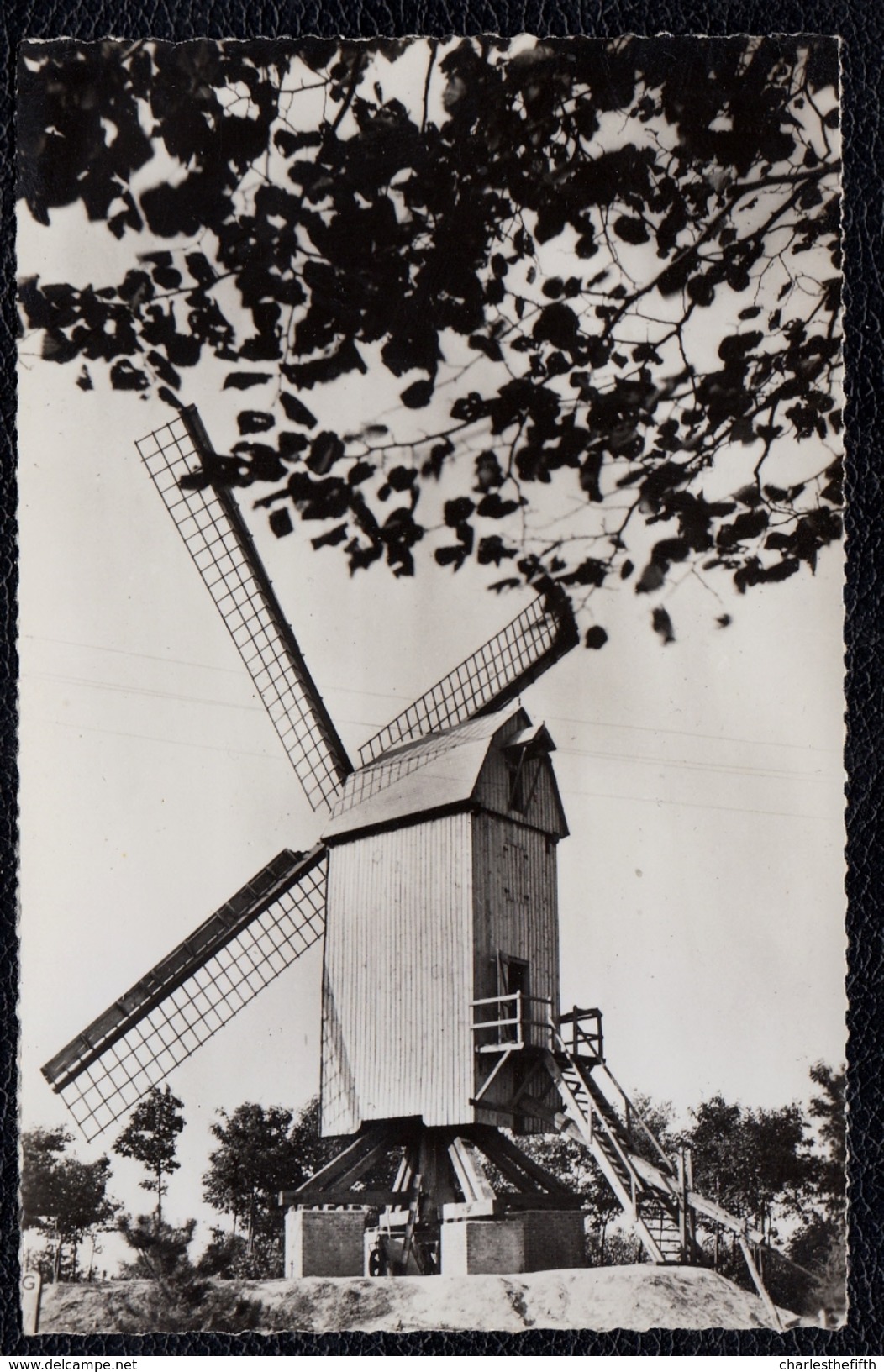 WESTOUTER RODENBERG - MONT ROUGE - MOLENHOF - MOLEN - MOULIN - Niet Courant - Heuvelland