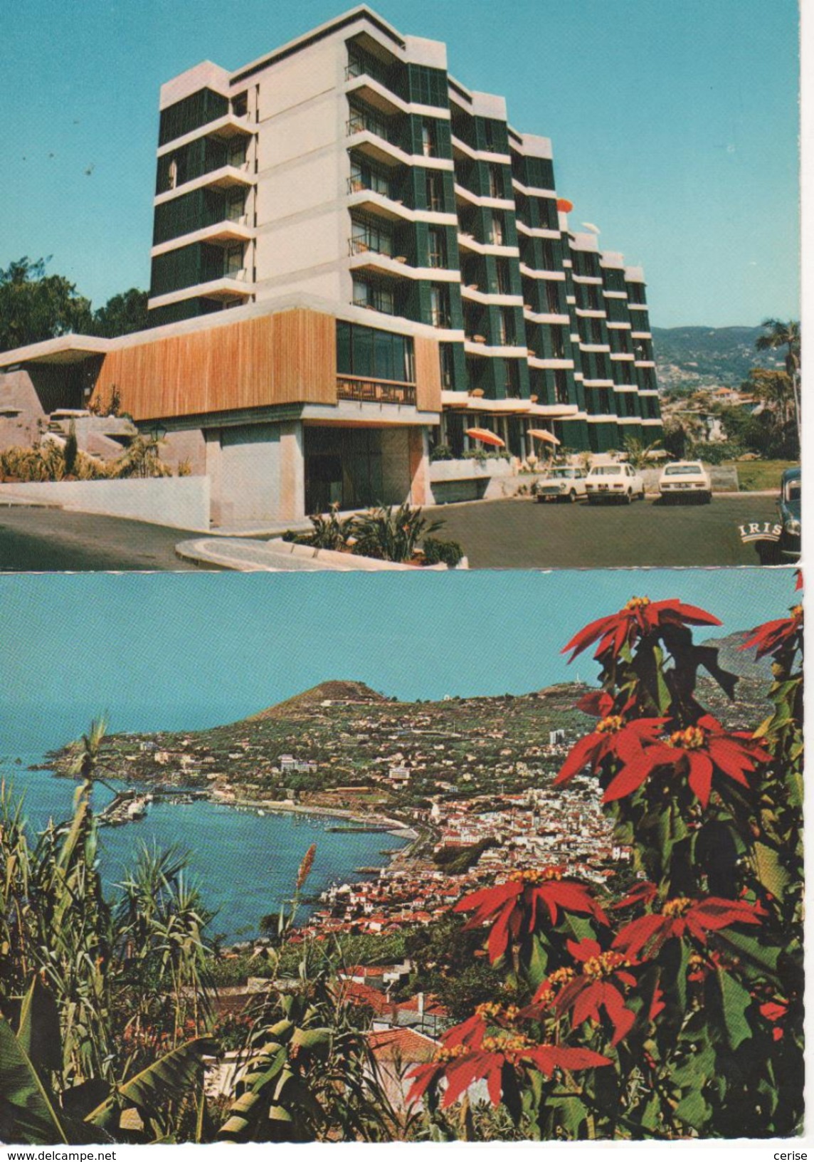 Funchal: Lot De 5 Cartes Toutes Scannées - Madeira