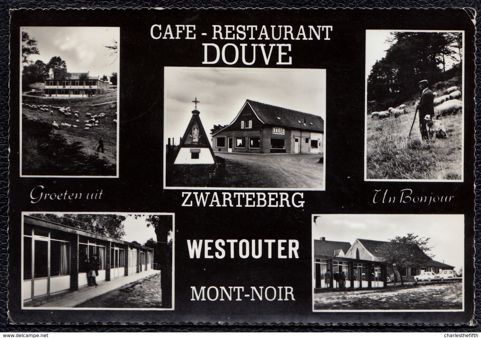 WESTOUTER ZWARTBERG * CAFE RESTAURANT " DOUVE " - Heuvelland