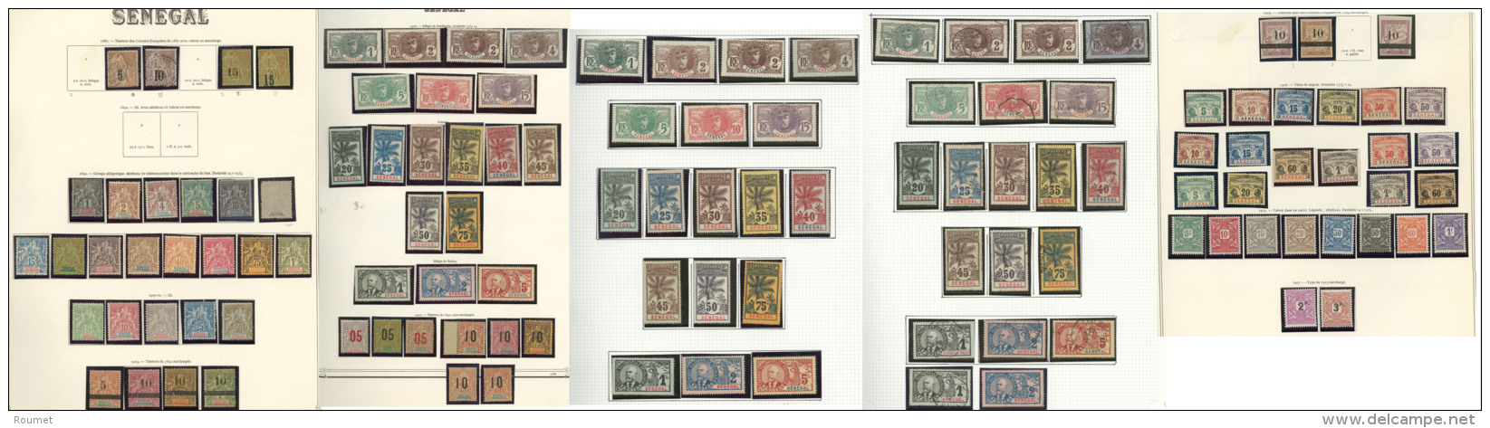Collection. 1887-1960 (Poste, PA, Taxe, BF), Valeurs Moyennes Et S&eacute;ries Compl&egrave;tes Dont Palmiers X6, Compl& - Other & Unclassified