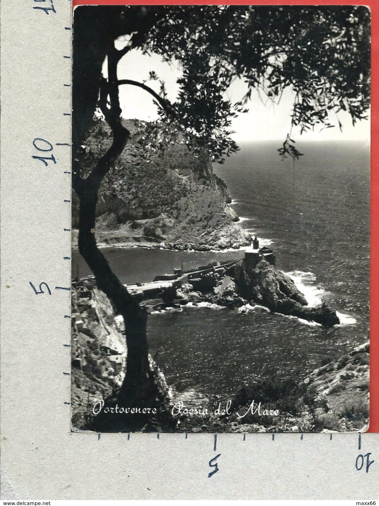 CARTOLINA VG ITALIA - PORTOVENERE (SP) - Poesia Del Mare - 10 X 15 - ANN. 1954 - La Spezia