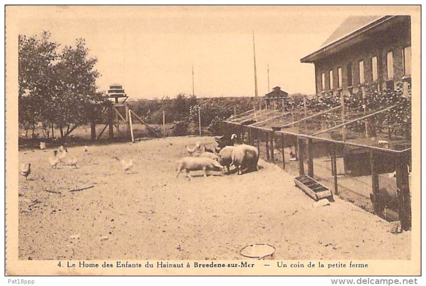 BELGIQUE Belgium Flandre Occidentale - BREEDENE SUR MER Le Home Des Enfants Du Hainault : Un Coin De La Petite Ferme CPA - Bredene