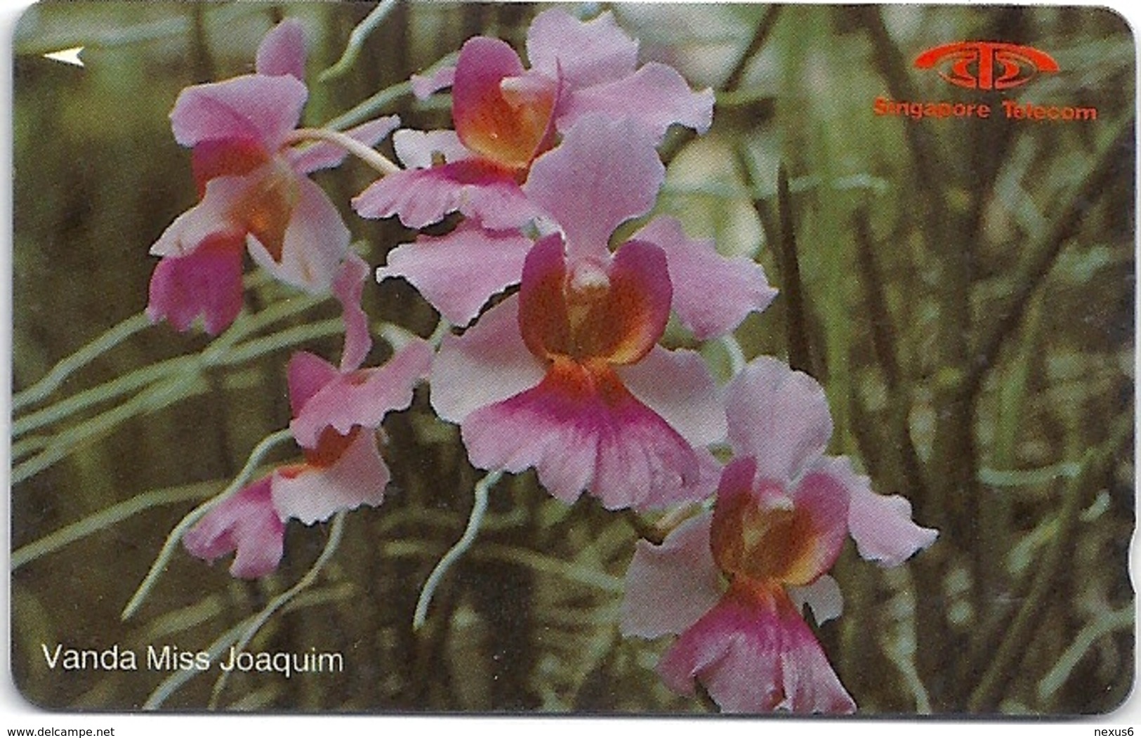 Singapore - Vanda Miss Joaquim, Orchids, 11SIGA, 1991, 840.000ex, Used - Singapour