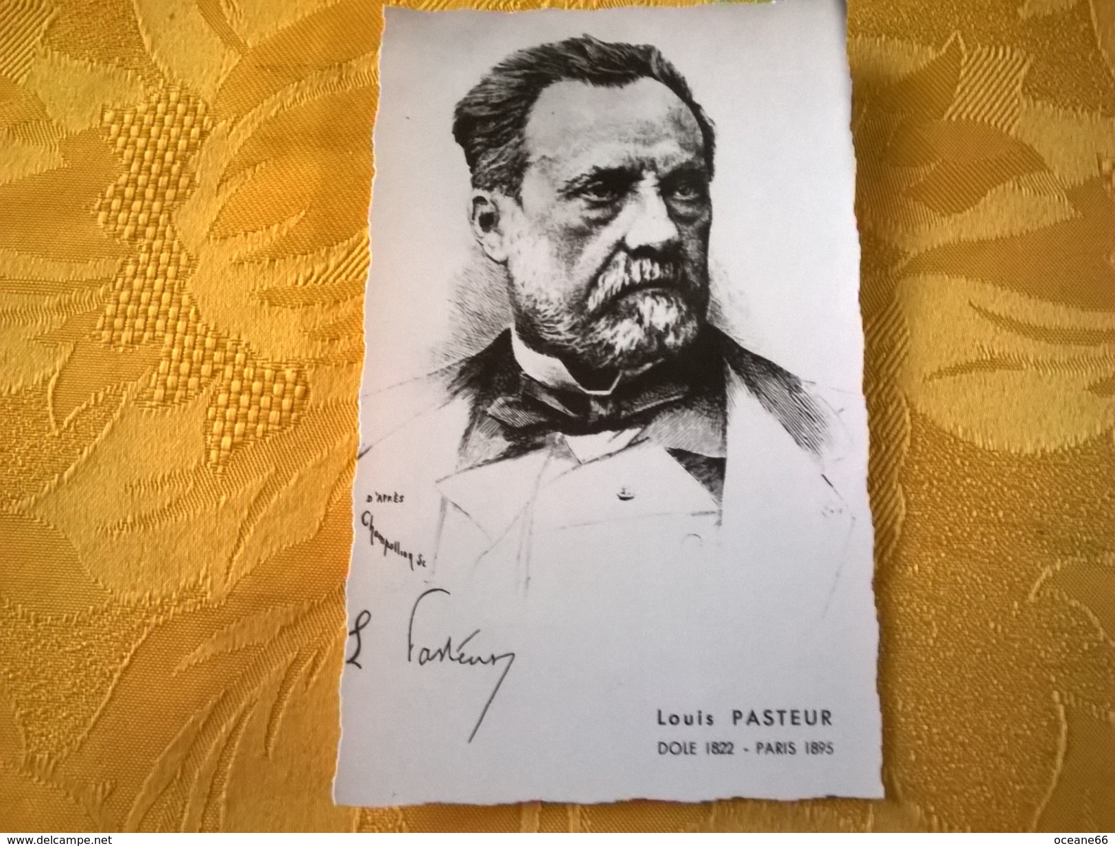 Pasteur Louis Dôle 1822 Paris 1895 - Premio Nobel