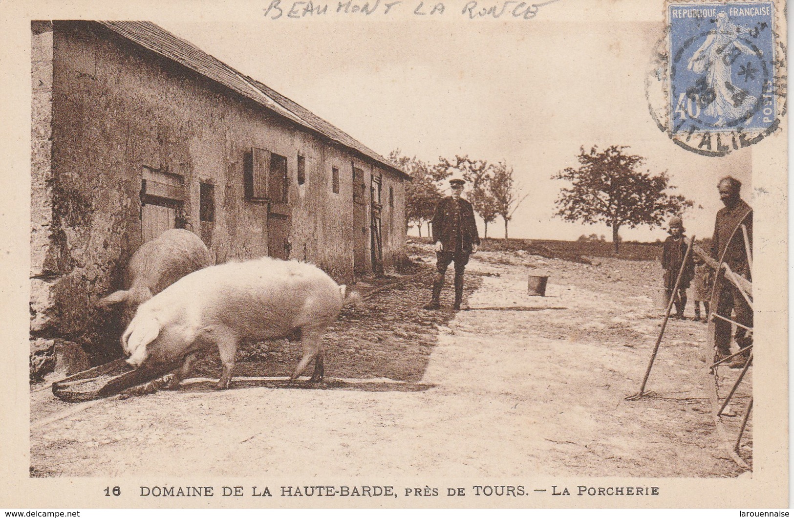37 - BEAUMONT LA RONCE - Domaine De La Haute Barde - La Porcherie - Beaumont-la-Ronce