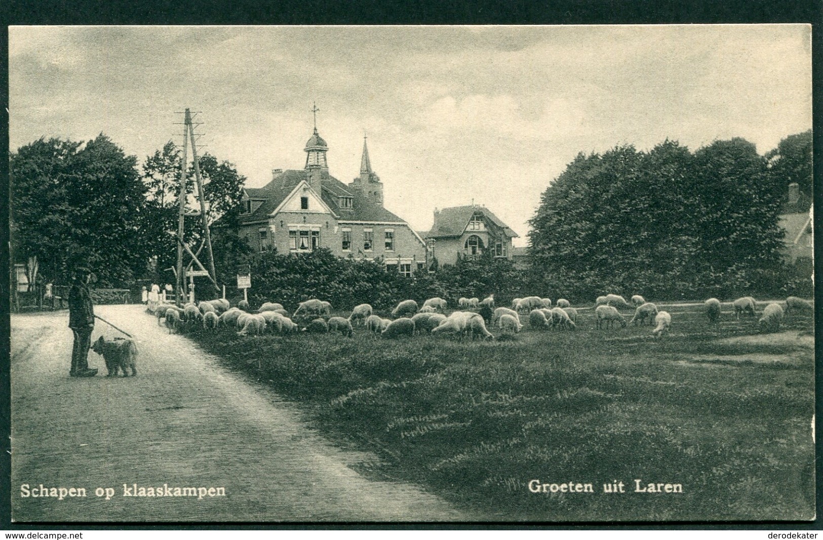 SCHAPEN OP KLAASKAMPEN. GROETEN UIT LAREN.Briefkaart J.Jonk.Onbeschreven.Goede Staat.Ongelopen.FRAAI! - Laren (NH)