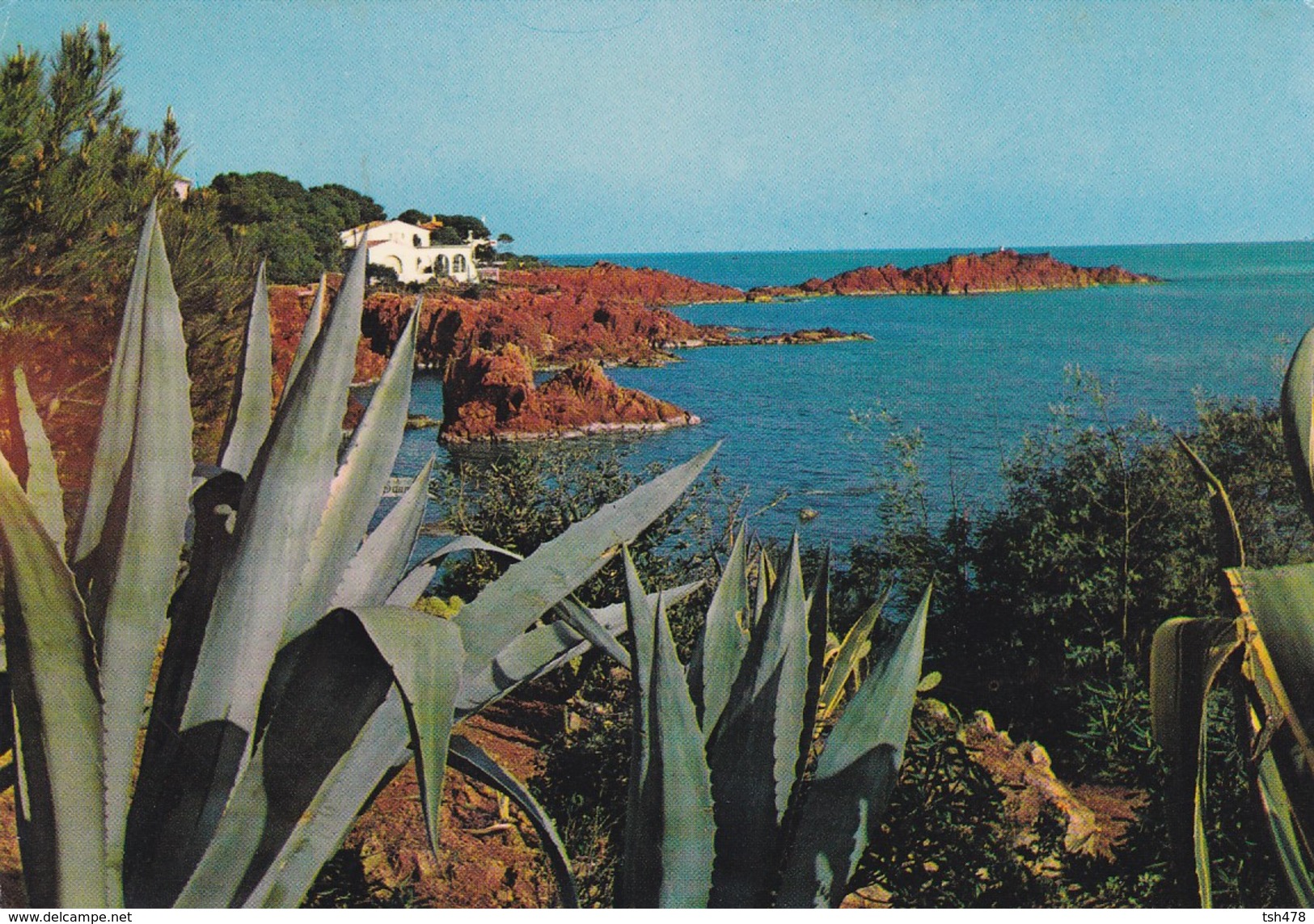 83-----DANS L'ESTEREL--la Côte Vers Le Dramont Et Ses Rochers Rouges--voir 2 Scans - Other & Unclassified