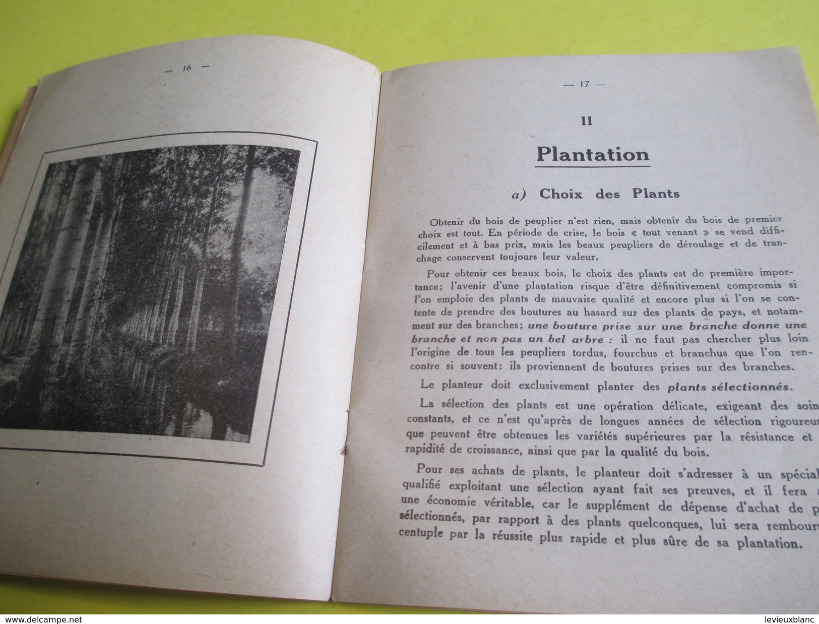 Fascicule/Sylviculture/Petit Manuel Du Planteur De Peupliers/ Grandes Pépinières De Pontvallain/Sarthe/1935   LIV124 - Jardinage