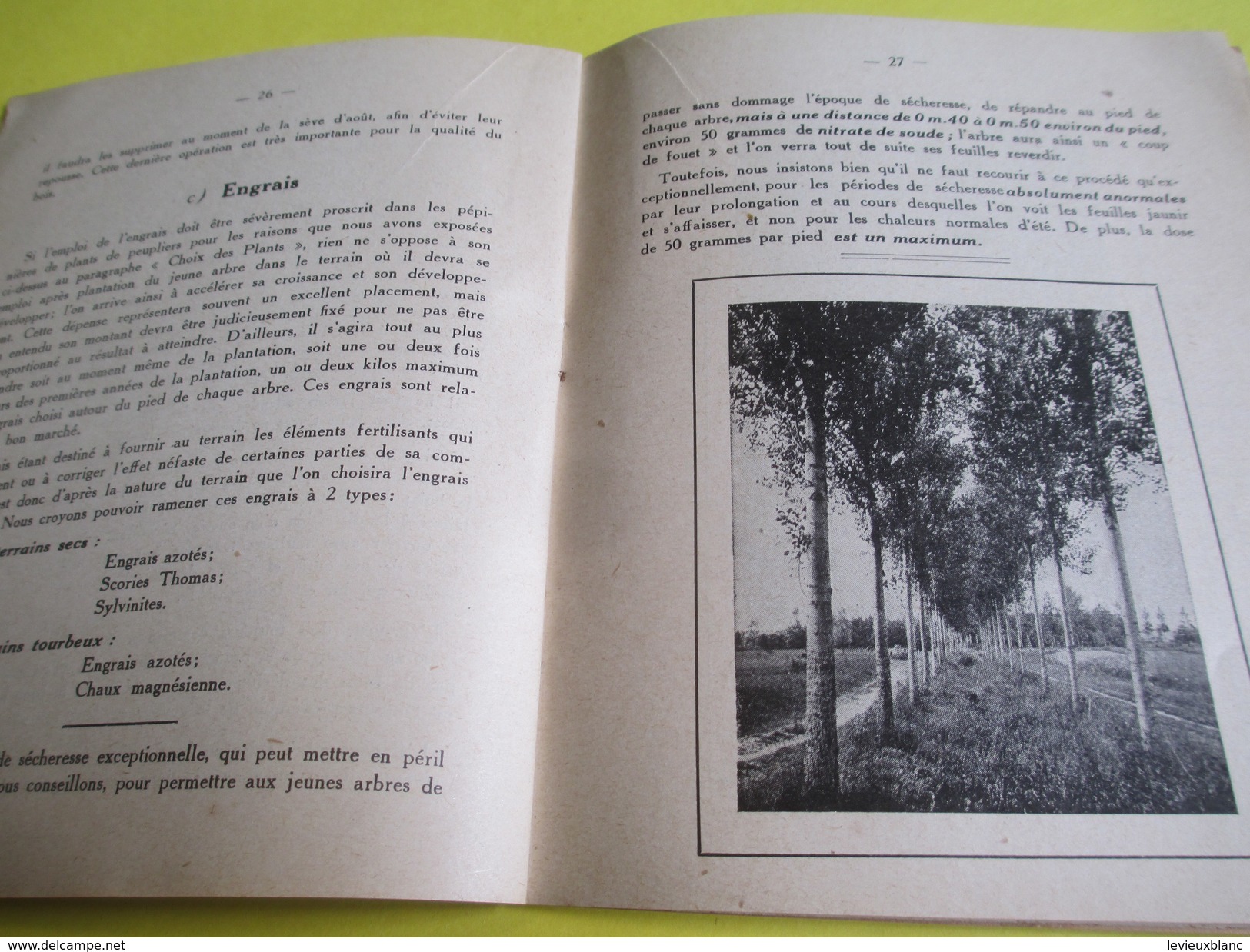 Fascicule/Sylviculture/Petit Manuel Du Planteur De Peupliers/ Grandes Pépinières De Pontvallain/Sarthe/1935   LIV124 - Garden