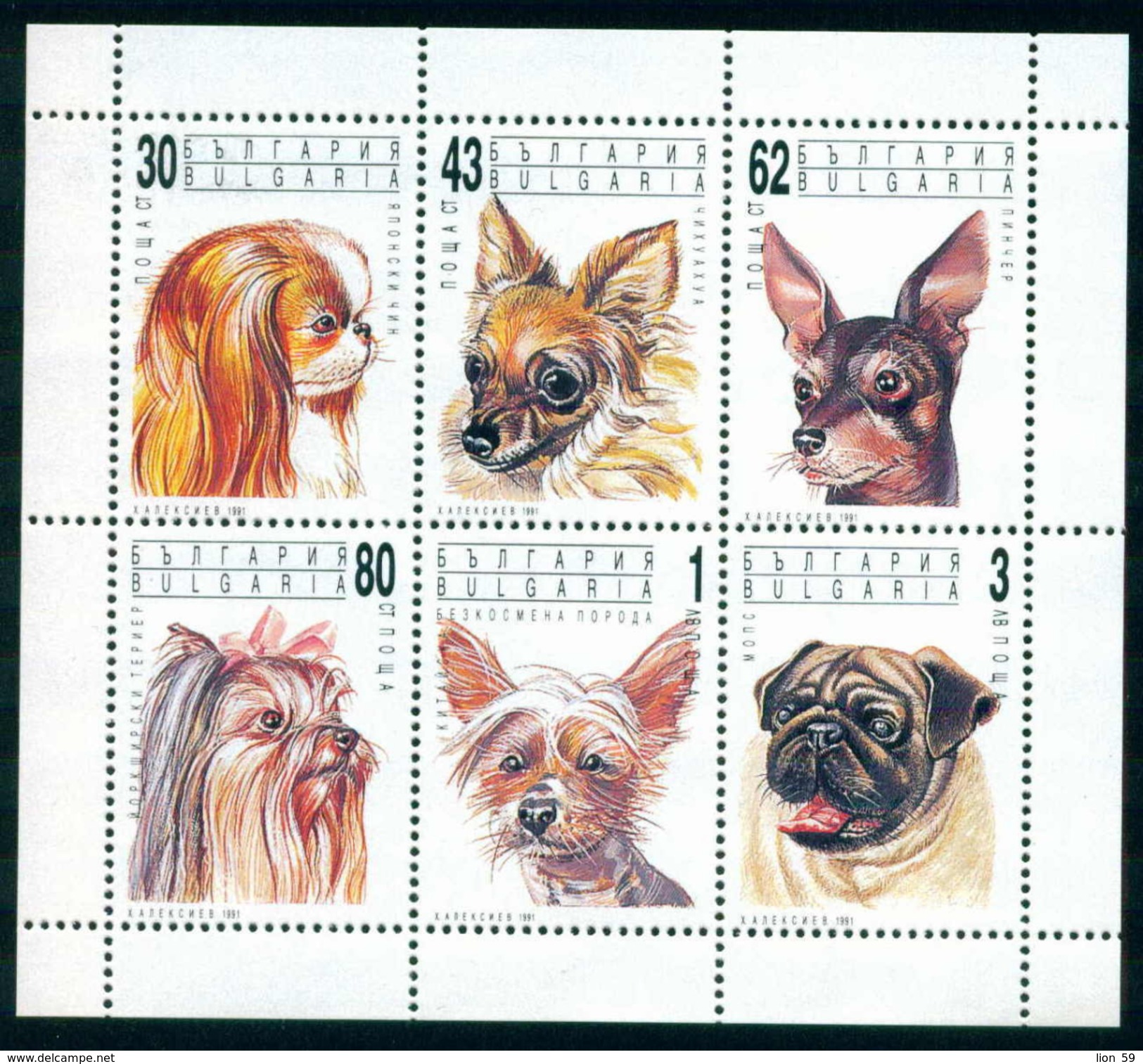 3945I Bulgaria 1991 Animals Dogs Sheet  **MNH Hunde - Pekinese Chihuahua Pinscher Mischling Mops Yorkshire-Terrier - Ungebraucht