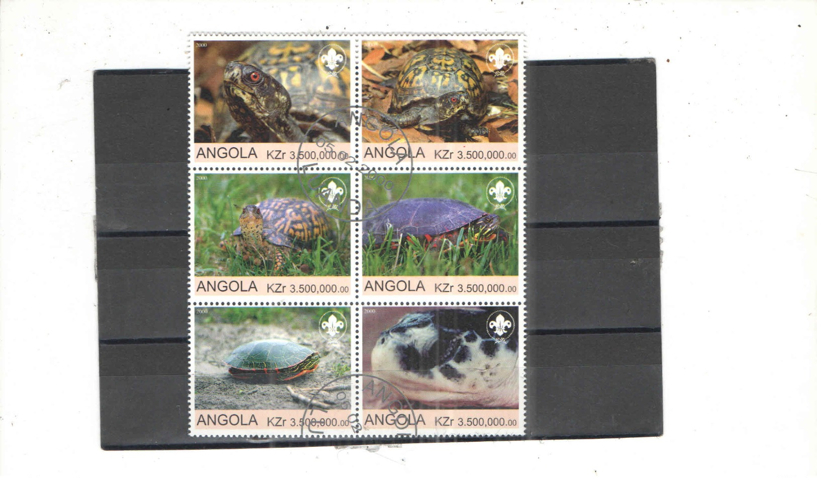 Angola 2000 Blocco Tartarughe N.06 Valori Timbrati See Scans - Angola