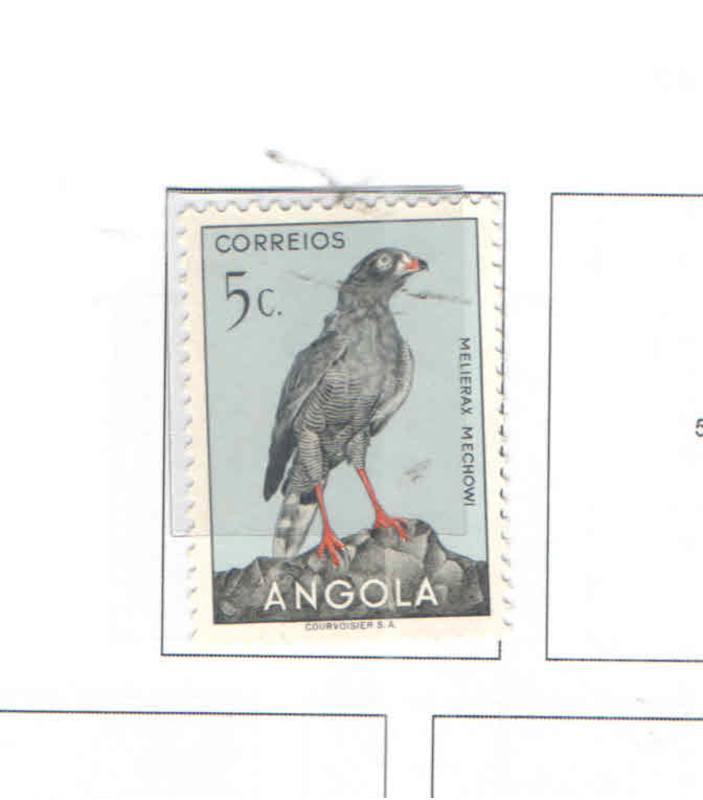 Angola 1951 Uccelli  .n.01 Valori Scan 333+nuovo See Scans - Angola