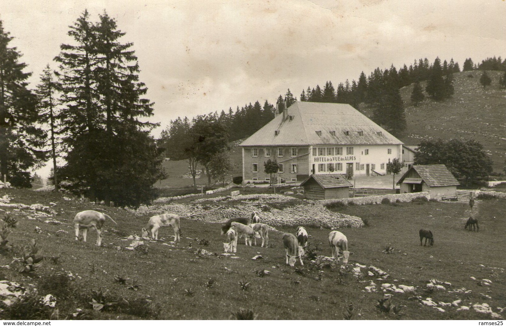 (26) CPA Cernier  Hotel Vue Des Alpes  (bon Etat) - Cernier