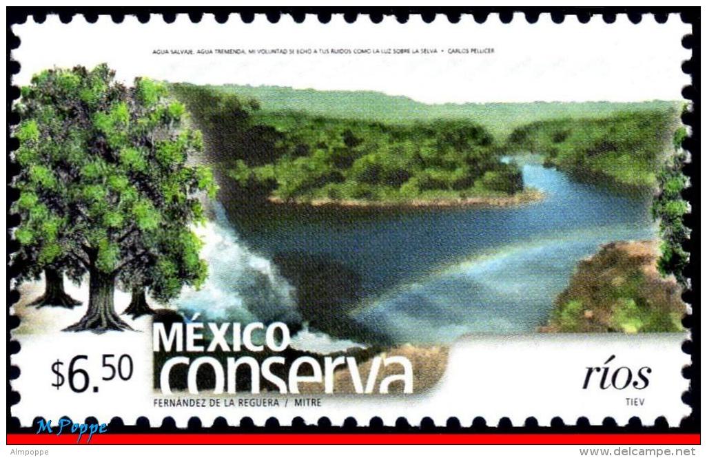 Ref. MX-2459 MEXICO 2005 NATURE, CONSERVATION, RIVERS,, TREE, (6.50P), MNH 1V Sc# 2459 - Arbres
