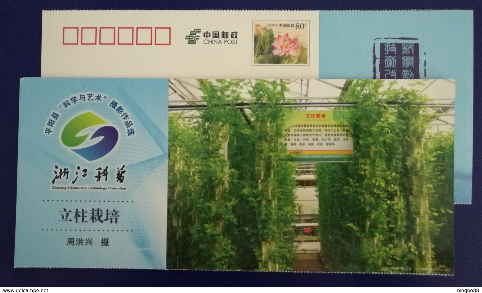 Vertical Plantation Vegetable,Awarding Artwork Of Science Art Photography Competition,CN11 Science Popularization PSC - Vegetables