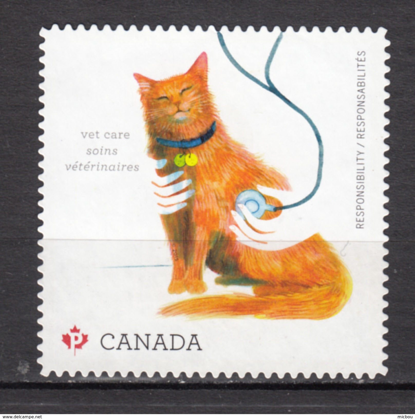 Canada, MNG, Chat, Cat, Vétérinaire, Vet, Veterinary, Main, Hand - Chats Domestiques