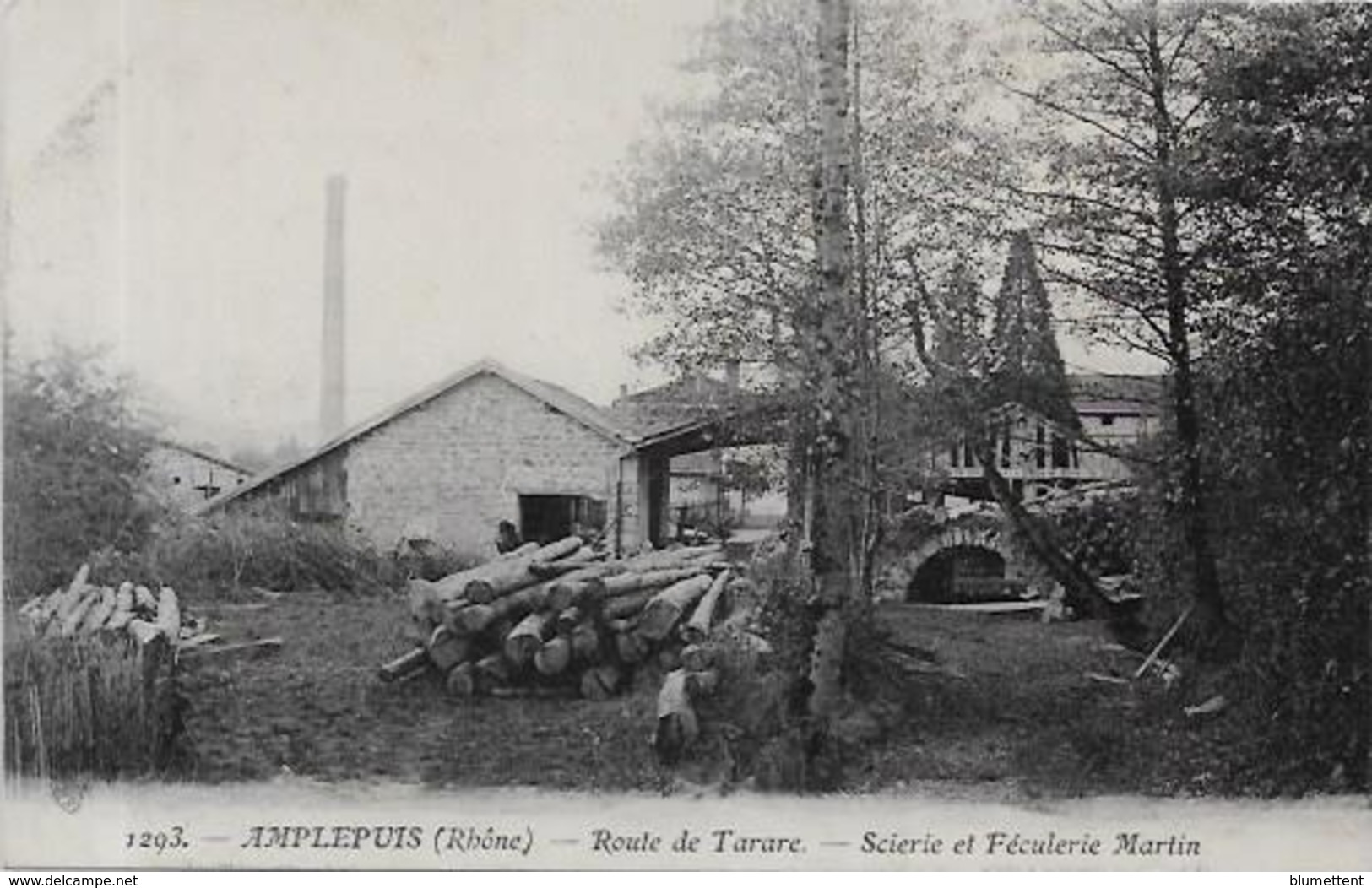 CPA Amplepuis Dans Le Rhône Métier Du Bois Scierie Non Circulé - Amplepuis