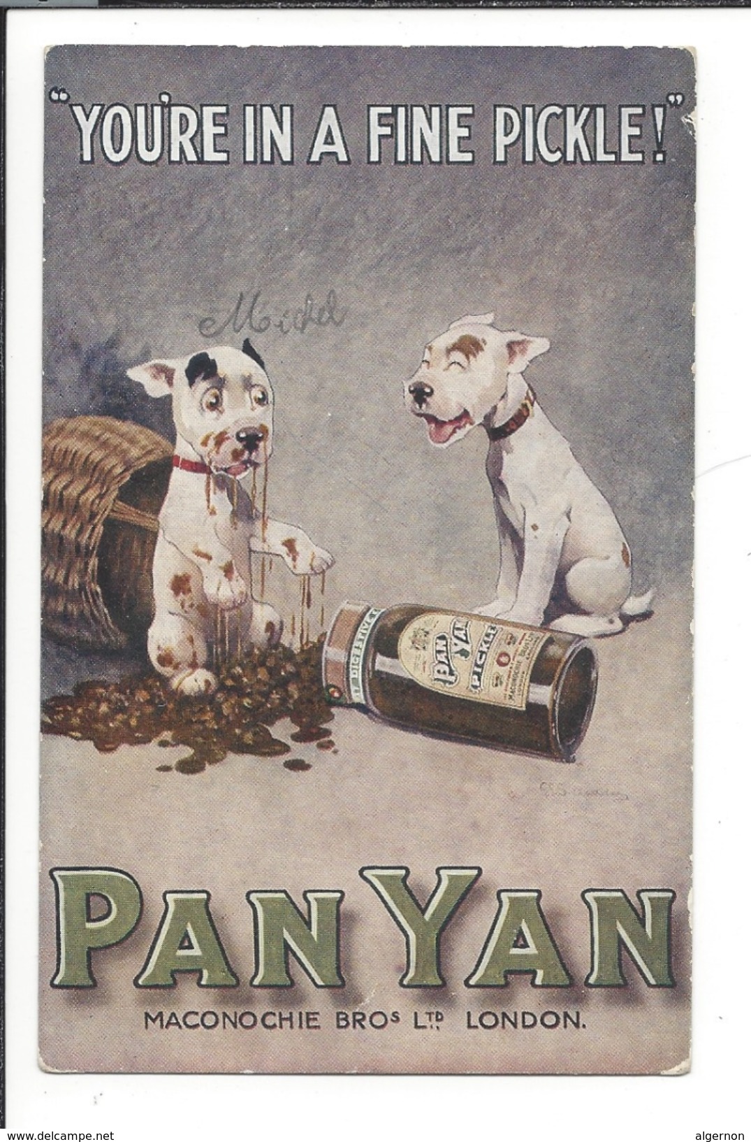 16722 - Dog Bonzo You're In A Fine Pickle Publicité Pan Yan Maconochie London Représentant Genève - Chiens