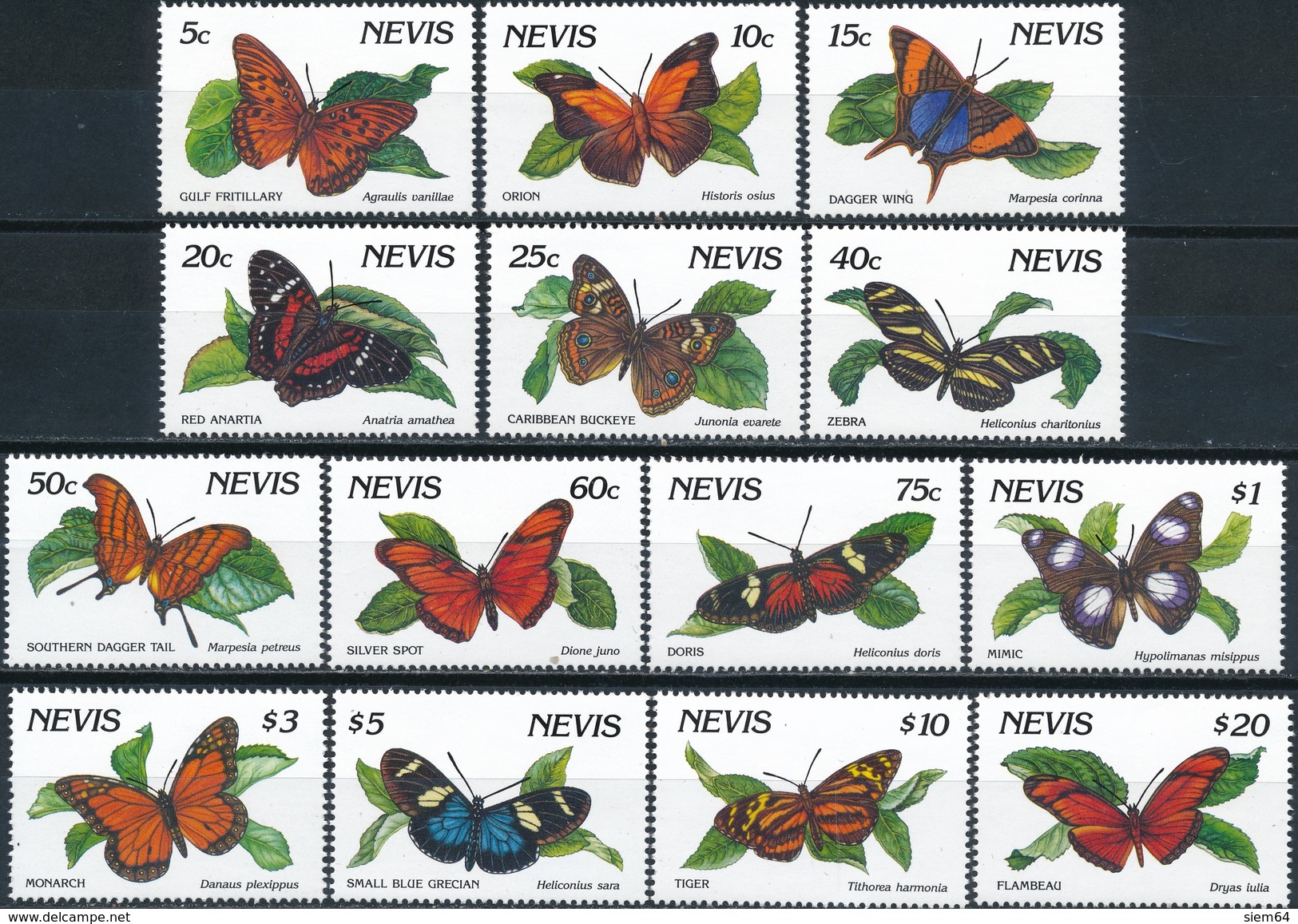 Nevis Butterflies - Vlinders