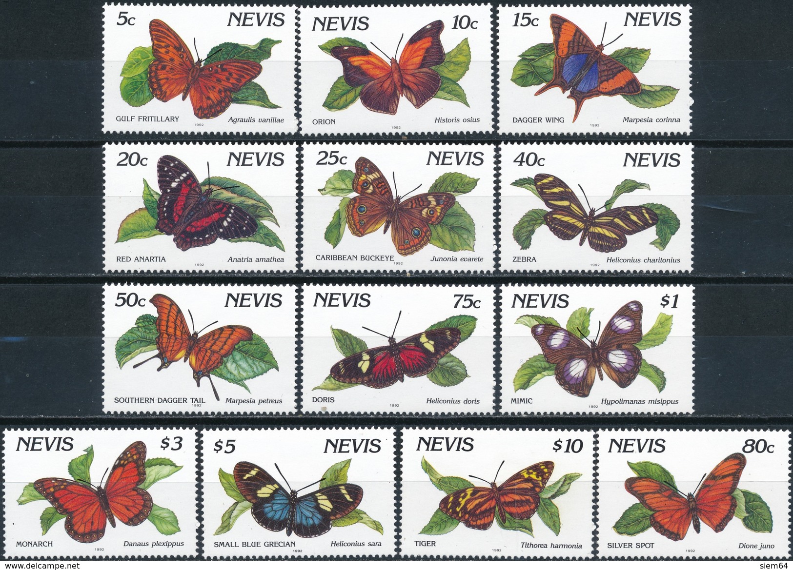 Nevis Butterflies - Vlinders