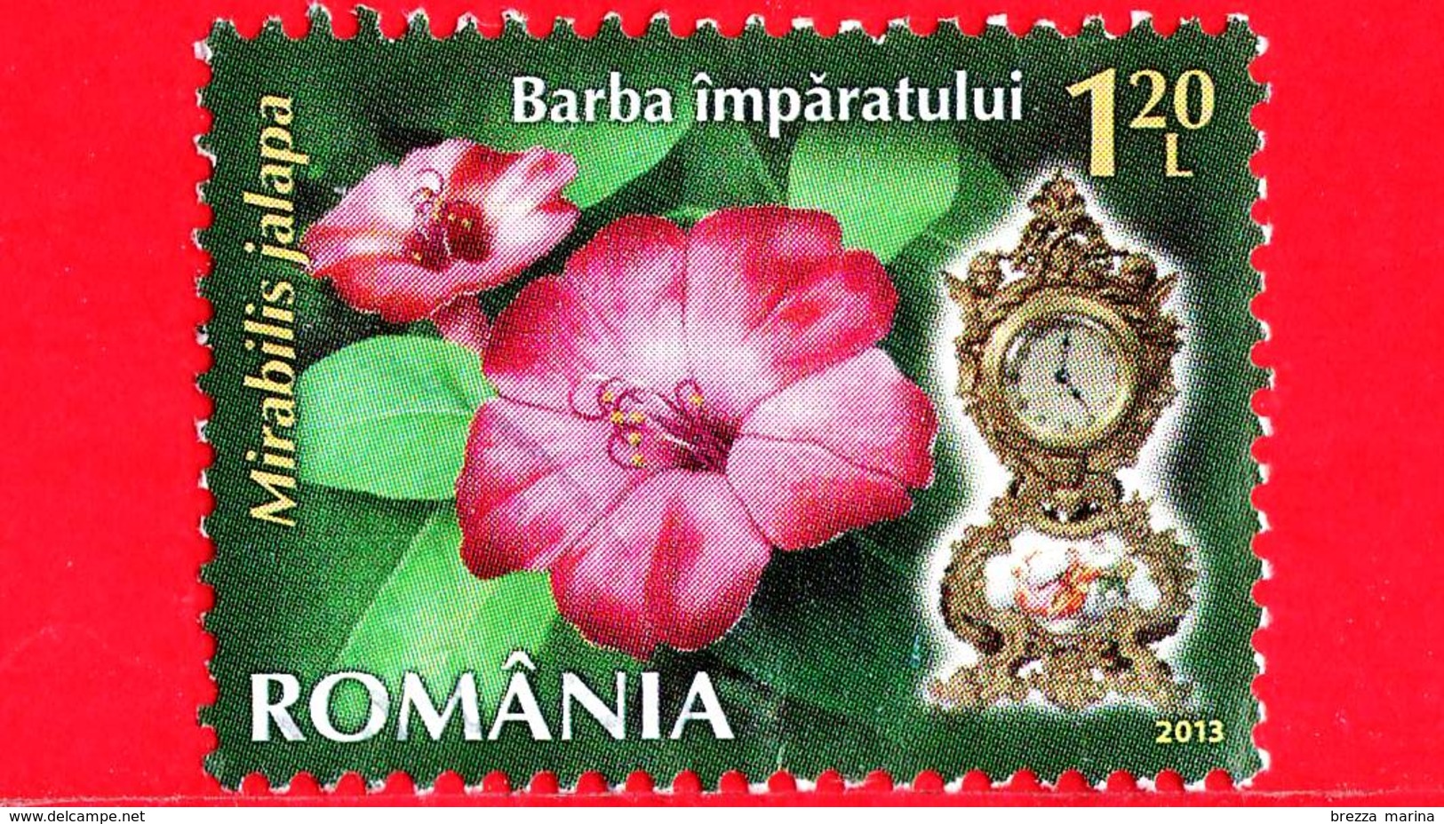 ROMANIA - Usato - 2013 - Fiori - Bella Di Notte (Mirabilis Jalapa L.) - Orologio 5 P.m - 1.20 - Usati