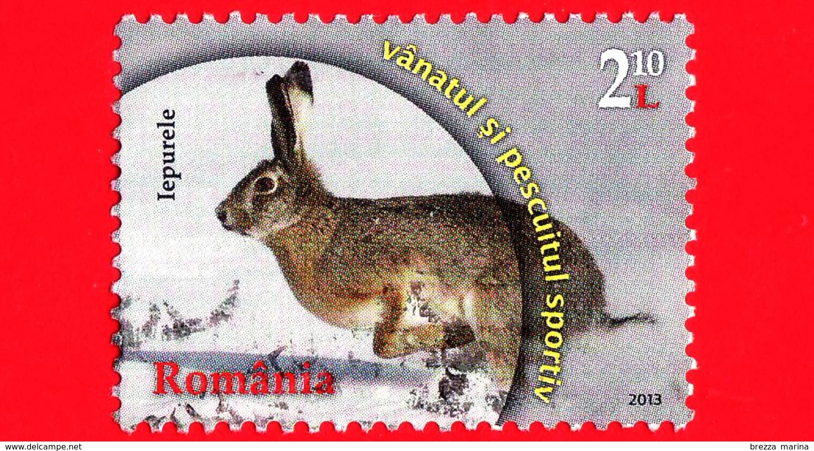 ROMANIA - Usato - 2013 - Lepre Europea - Hare - Caccia - Hunting - 2,10 L - Usati