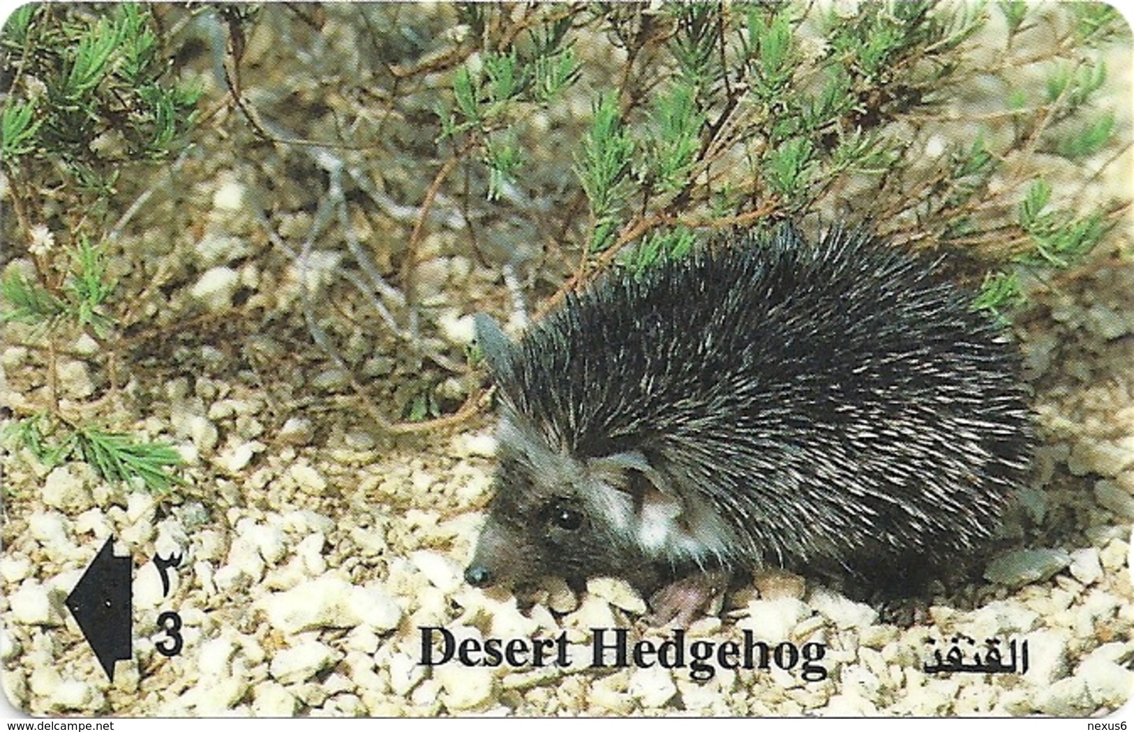 Oman - Desert Hedgehog - 44OMNE - 1999, 450.000ex, Used - Oman