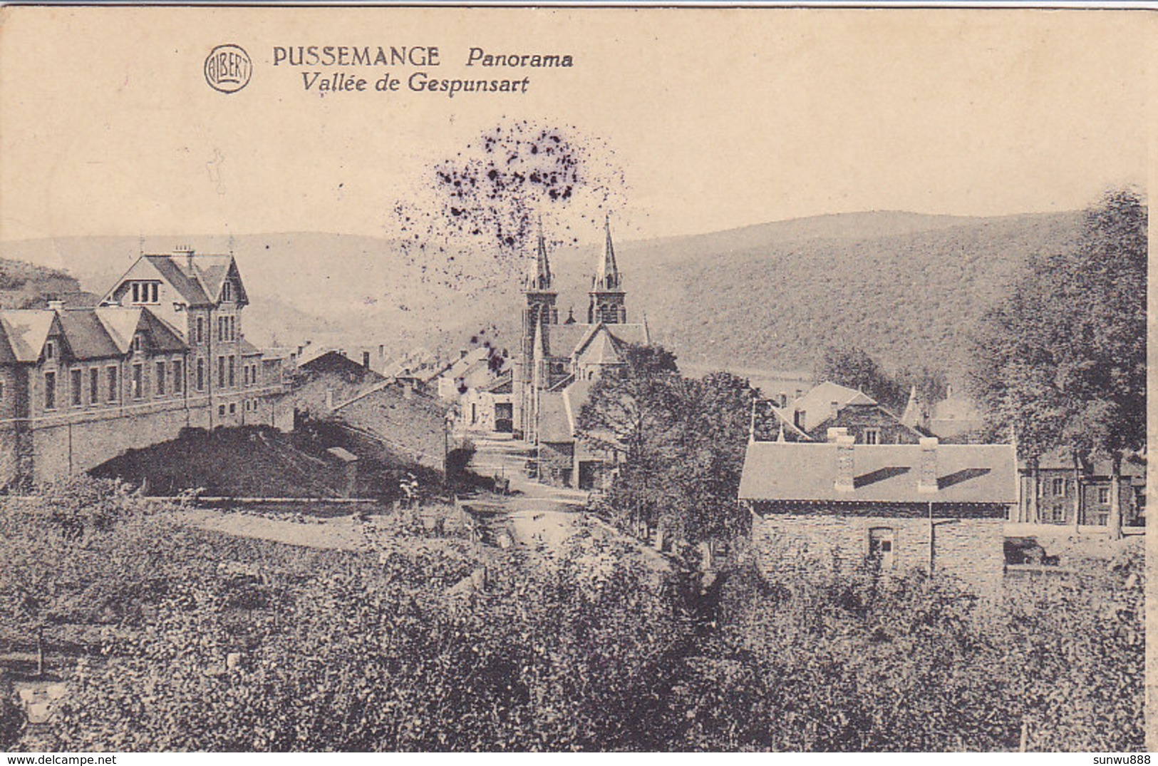 Pussemange - Panorama - Vallée De Gespunsart (Edit. Kayser, Franchise Militaire, 1924) - Vresse-sur-Semois