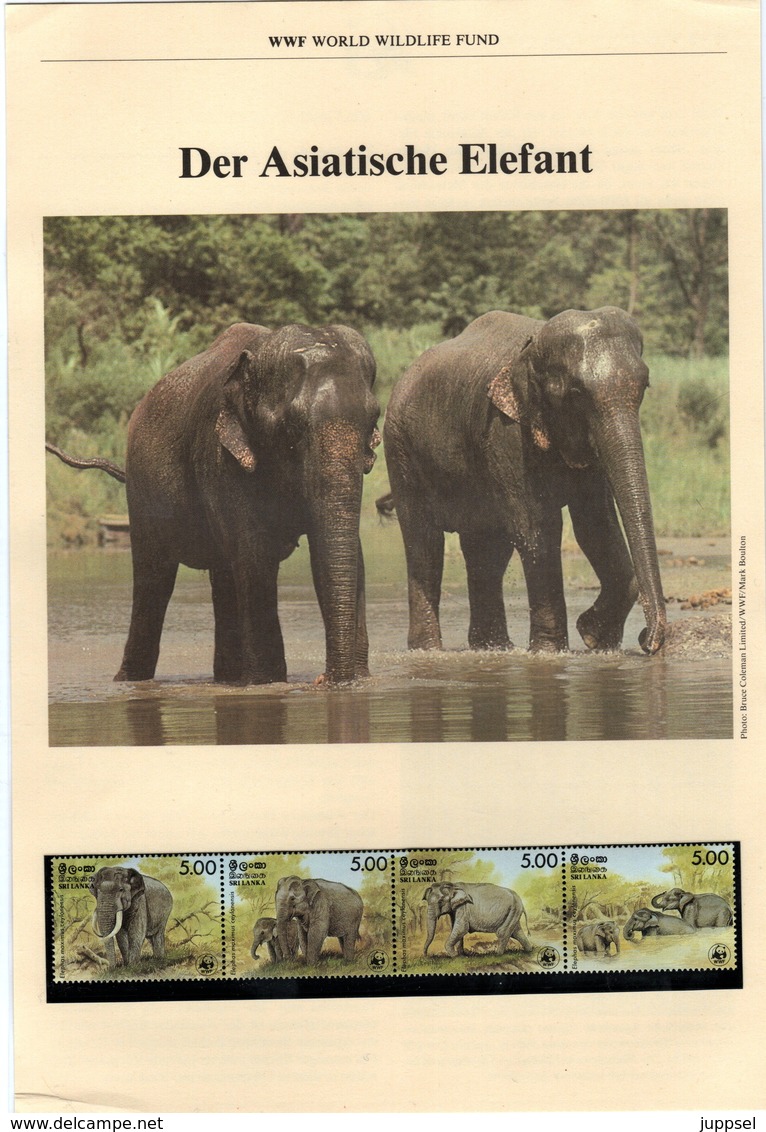 WWF Kapitel, Chapter  SRI LANKA, Elephant  1986  /  WWF Capitulaire SRI LANKA , Elephant - Autres & Non Classés