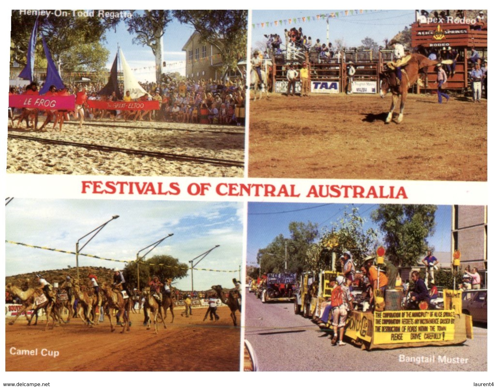 (851) Australia - NT  - Festival Of Central Australia - (Henley And Camel Race - Bangtail Muster Etc) - Alice Springs