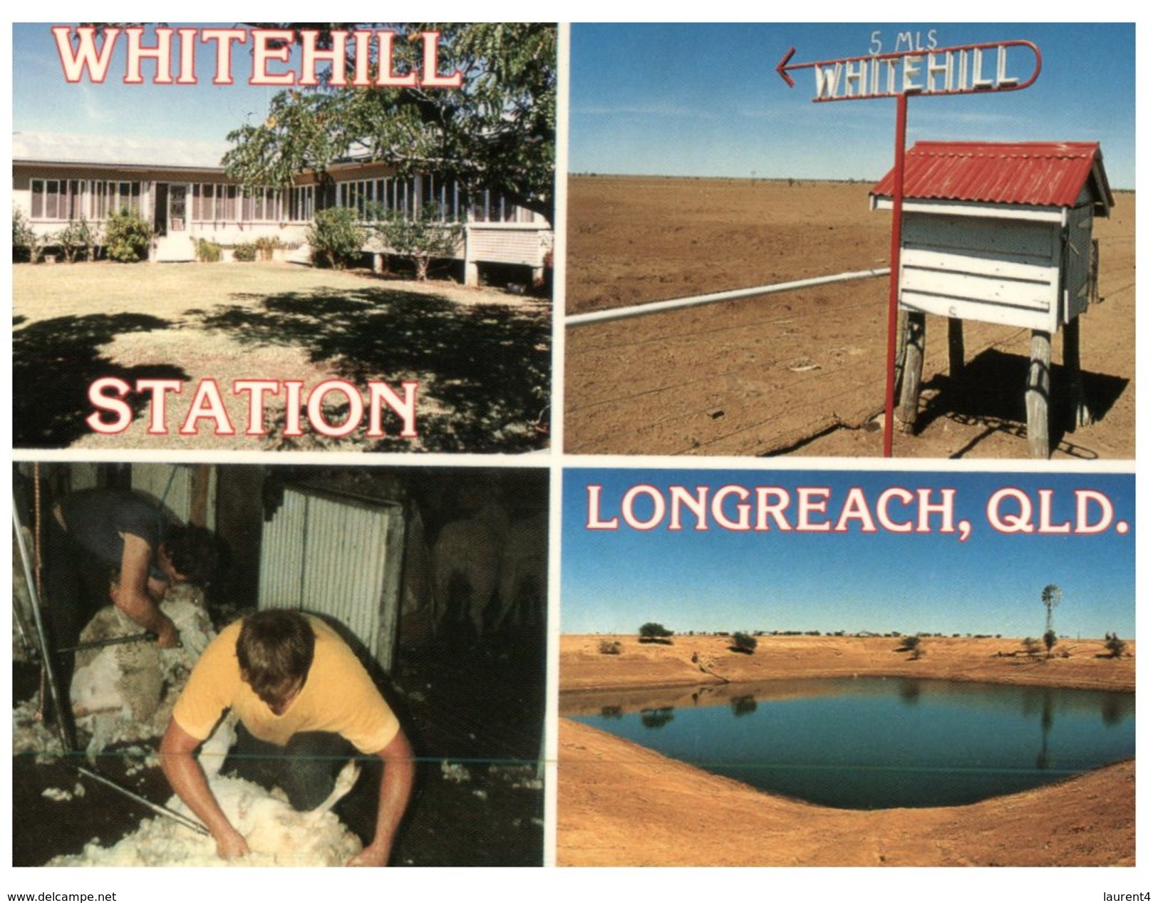 (851) Australia - QLD -  Longreach Whitehill Station - Far North Queensland