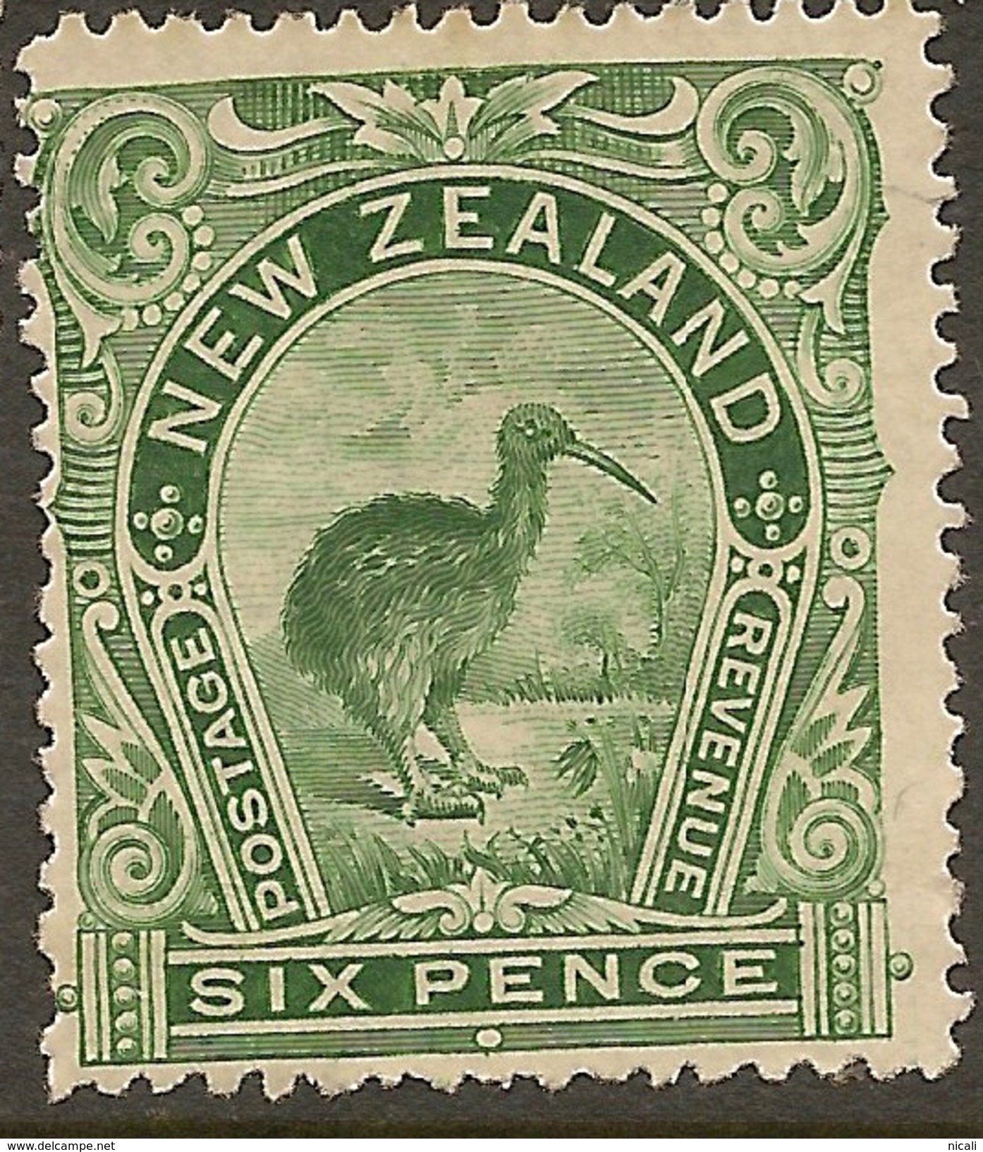 NZ 1898 6d Green Kiwi P15.5 SG 254 U #ZS162 - Used Stamps